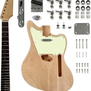 censtar DIY electric guitar